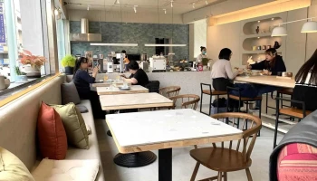 Daily Ping 平日 - 新竹市