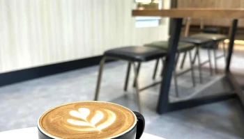 拾柒咖啡 ｜板橋咖啡廳｜寵物友善｜ - 新北市
