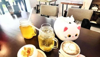 昭日咖啡-新竹寵物友善餐廳|寵物餐廳|網美咖啡廳|人氣咖啡|熱門下午茶|網美下午茶 - 新竹市