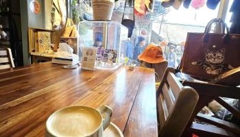 石頭貓 - 新北市