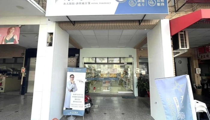 Heshenyaoju-Chufangjian/yixuemeirong/manxingbing/zhangzhaofuwu-Fushetiankangjingshuiqishiyin Station - 高雄市