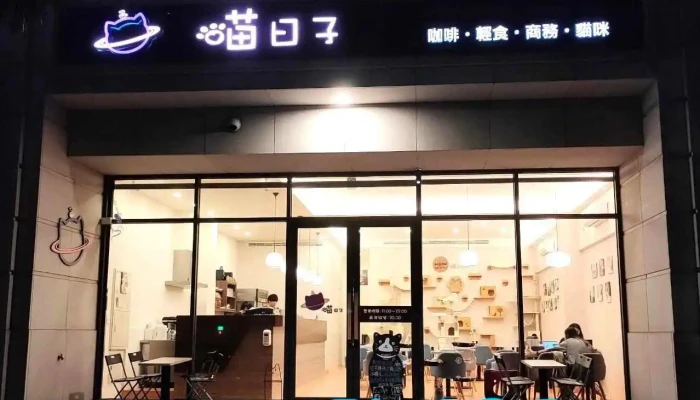 Meow day café - 桃園市