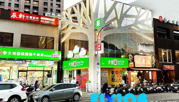 大树药局-桃园南平二店 - 330056台湾桃園市桃園區南平路302號