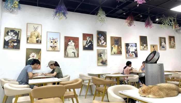 贰巷猫弄 板桥店 - 新北市
